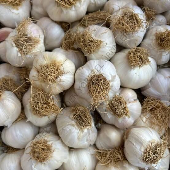 Taşköprü Sarımsağı