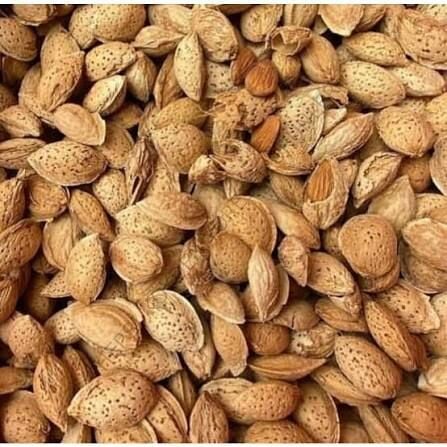 Çıtır Badem (el bademi)